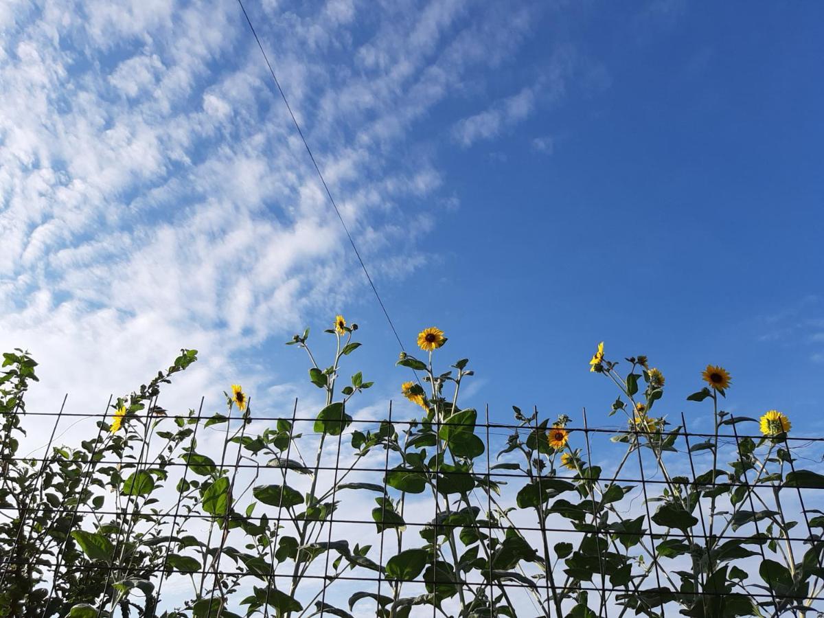 Guesthouse Kume Imabari Railway Station 外观 照片